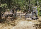 CATTLE CHUTE 1  